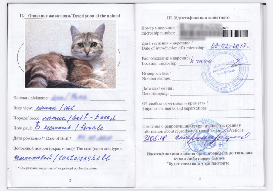 Пример заполнения паспорта животного.